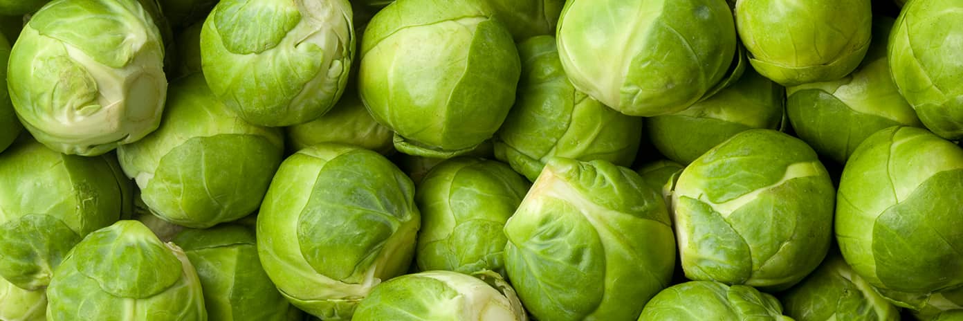 Růžičková kapusta