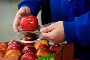 Kalibrační kroužky