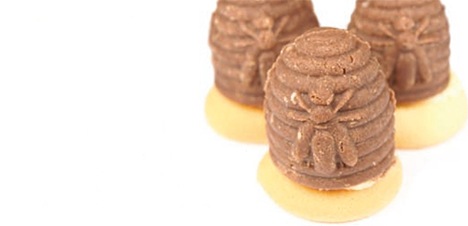 Orechové osie hniezda