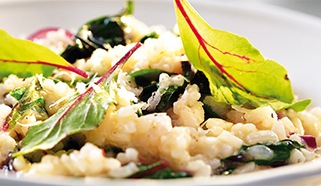 Rizoto s baby mangoldom