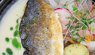 Morský vlk so šalátom s reďkoviek