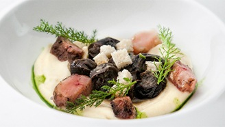 Slimáky na bylinkách s paštrnákovým pyré a špikom