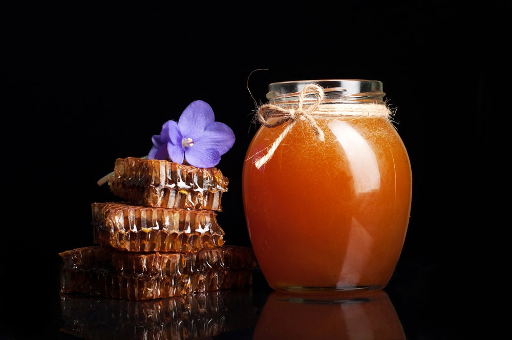 Скляна банка з медом, медові стільники та фіолетова квітка на чорному фоні