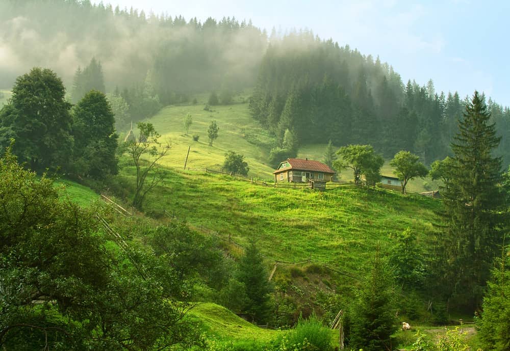 Самотня хатина серед зеленого пагорба в туманних Карпатах