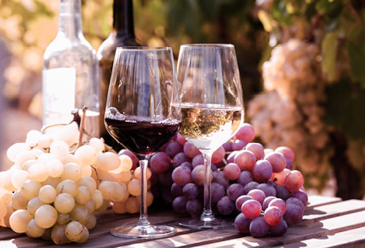 Вино за доступними цінами в Києві, Україні в METRO Cash and Carry