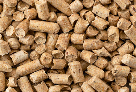 Наповнювачі туалетів