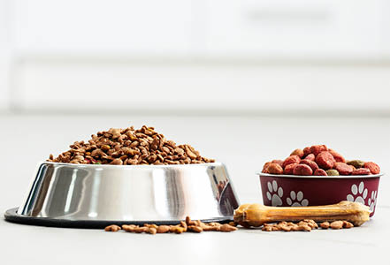 Корма для тварин