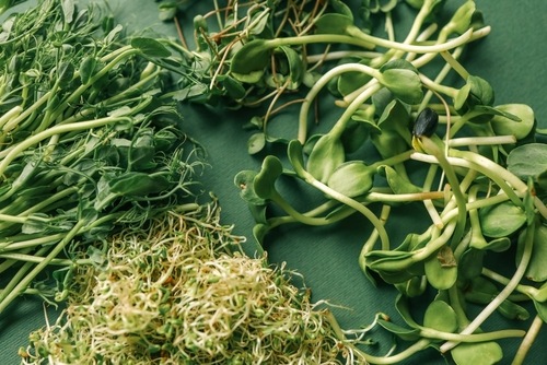 Мікрогріни