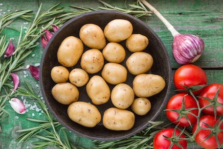 Сира молода картопля у мисці на дерев’яному столі, поруч з розмарином, часником і помідорами.