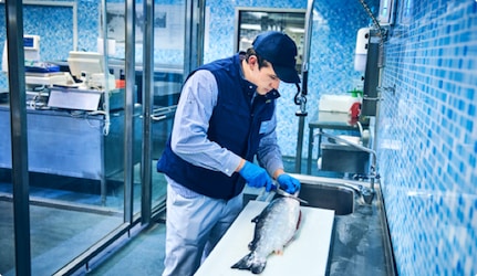 preparation