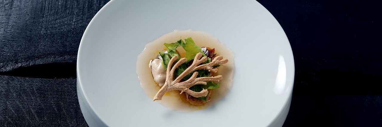 Recette de Chef | Coquillages fumés aux aiguilles de pin, gelée d'eau de coquillages, vierge de salicorne - Sophie Reigner Recette de Chef | Coquillages fumés aux aiguilles de pin, gelée d'eau de coquillages, vierge de salicorne - Sophie Reigner