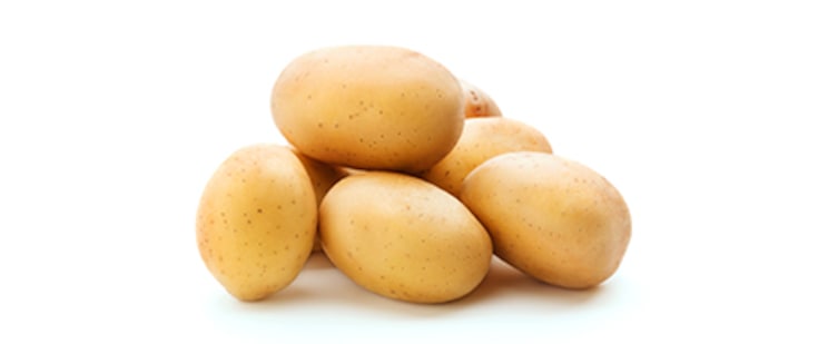 krumpir-mladi448x186