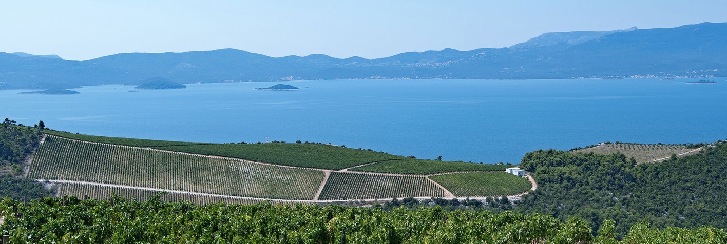 vino_dalmacija_hero vino_dalmacija_hero