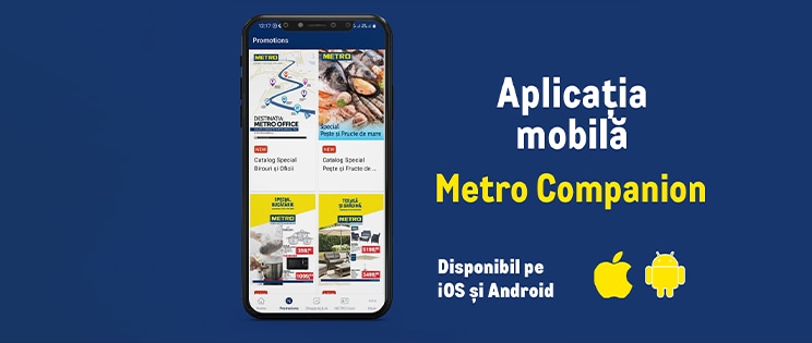 Metro companion